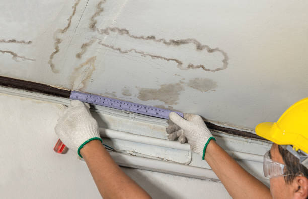 Reliable Mold Remediation contractor in Chesterfield, NH by Water Damage Irwin